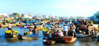 Tour Miệt Vườn: Cái Bè - Cù Lao Tân Phong - Chợ Nổi