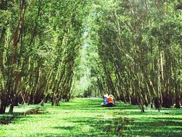 Sài Gòn - Cao Lãnh - Tràm chim Tam Nông - Châu Đốc- Cần Thơ - Sóc Trăng- Bạc Liêu